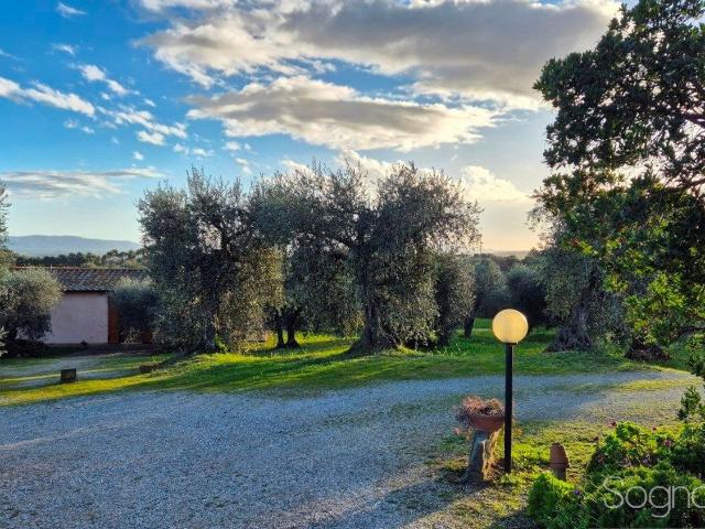 Rustico in vendita a Montiano, Magliano In Toscana