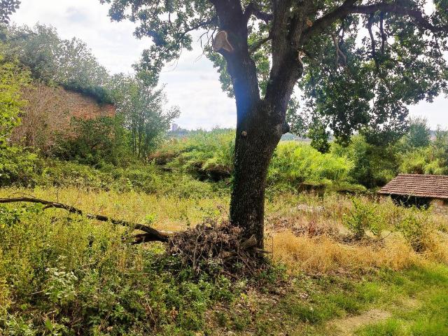 Rustico in vendita a Olmeto, Marsciano
