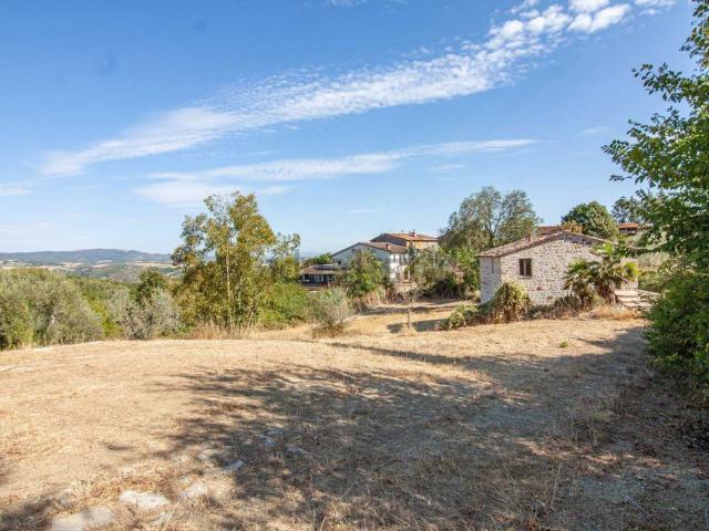 Rustico in vendita a San Venanzo, Umbria