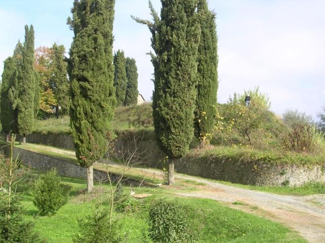 Rustico in vendita a Unione dei comuni Media Valle del Serchio, Borgo A Mozzano