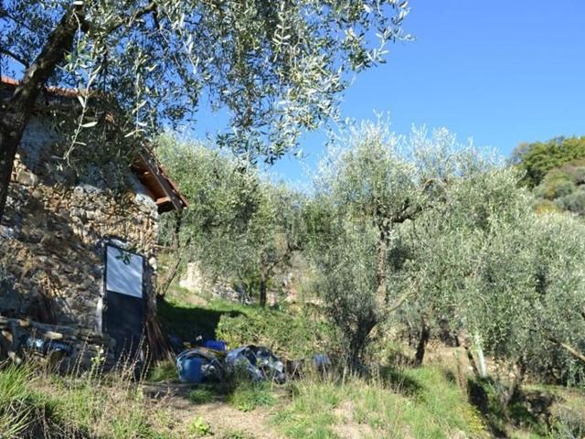 Rustico in vendita a Baiardo, Liguria