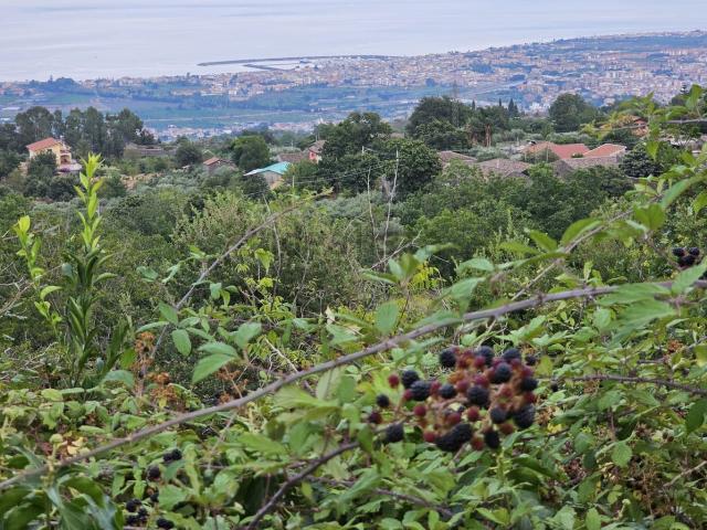 Rustico in vendita a Mascali, Sicilia