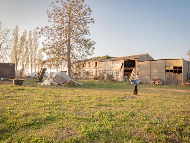 Rustico in vendita a Unione Delta del Po, Mesola