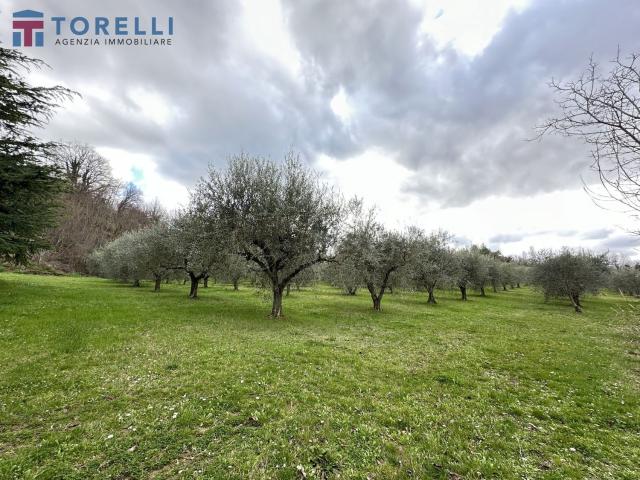 Rustico in vendita a Unione dei comuni Valle del Savio, Montiano