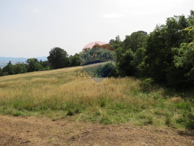 Rustico in vendita a Le Coste, Roccastrada