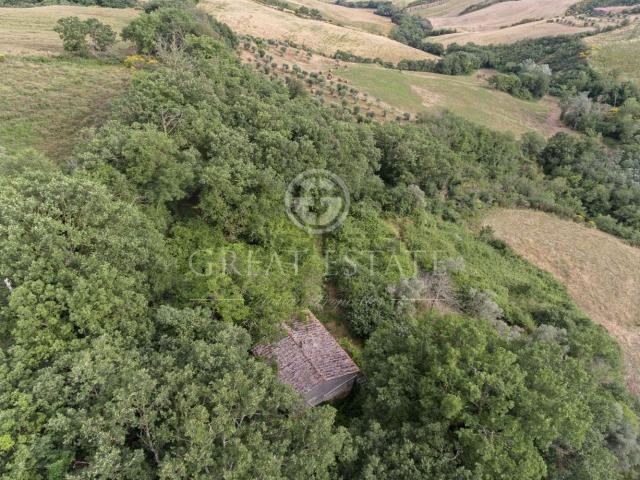 Rustico in vendita a Pienza, Toscana