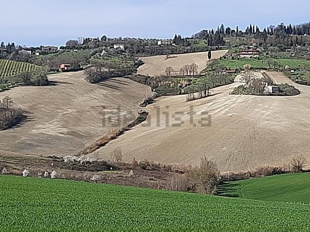 Rustico in vendita a Unione di Comuni della Romagna Forlivese, Bertinoro