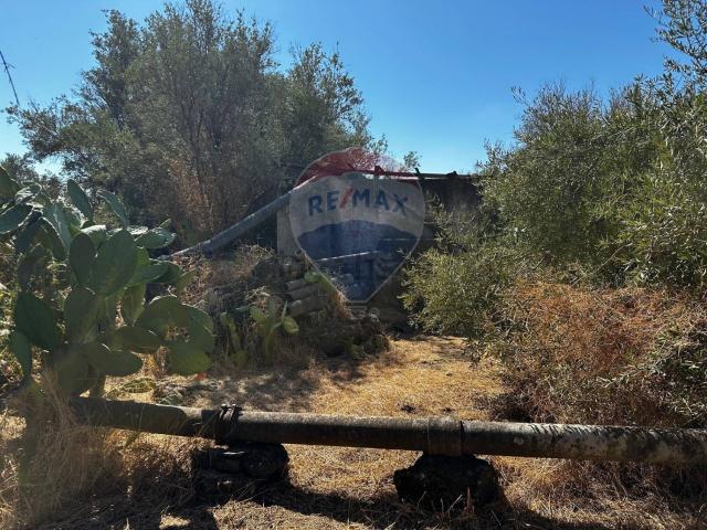 Rustico in vendita a Camporotondo Etneo, Sicilia