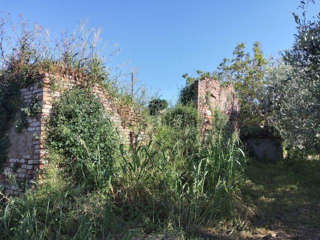 Rustico in vendita a Unione di comuni Valmarecchia, Santarcangelo Di