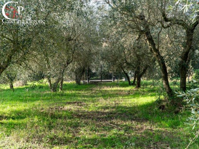 Rustico in vendita a Fiesole, Toscana
