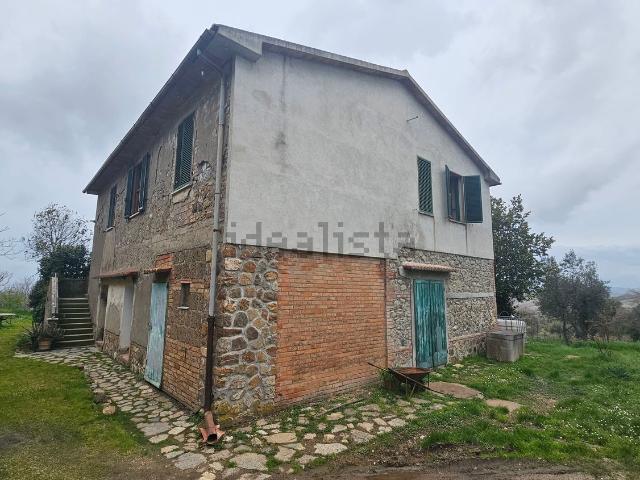 Rustico in vendita a Scansano, Toscana