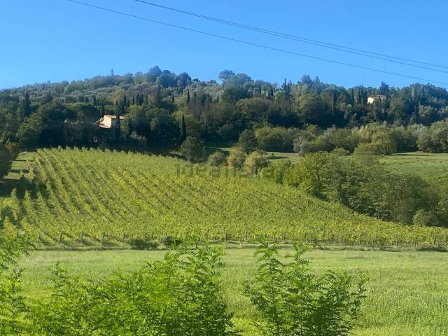 Rustico in vendita a Torri, Rignano Sull'arno