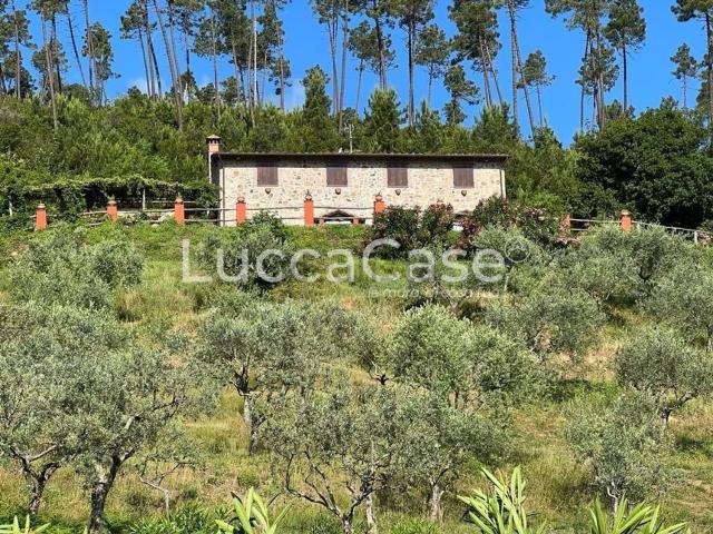 Rustico in vendita a Capannori, Toscana