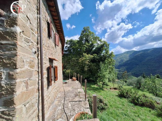 Rustico in vendita a Unione di Comuni Valdarno e Valdisieve, Londa