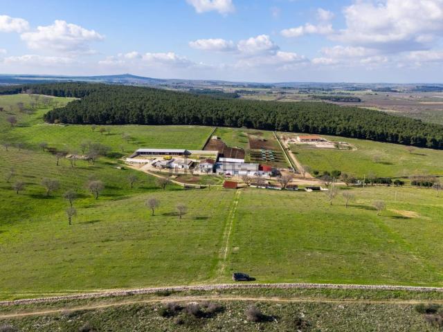 Rustico in vendita a Corato, Bari