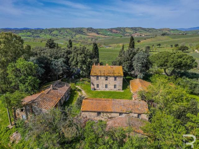 Rustico in vendita a Le Case, Scansano