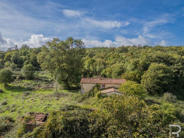 Rustico in vendita a Scansano, Toscana