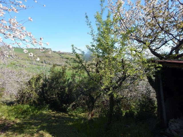 Rustico in vendita a Case Fioravanti, Castignano