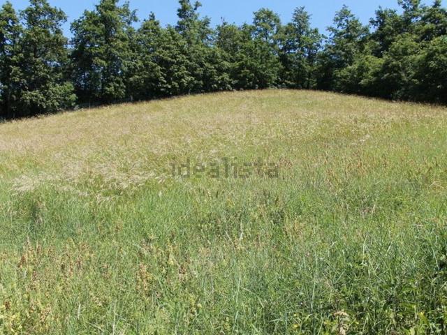 Rustico in vendita a Borgo Val Di Taro, Reggio Emilia