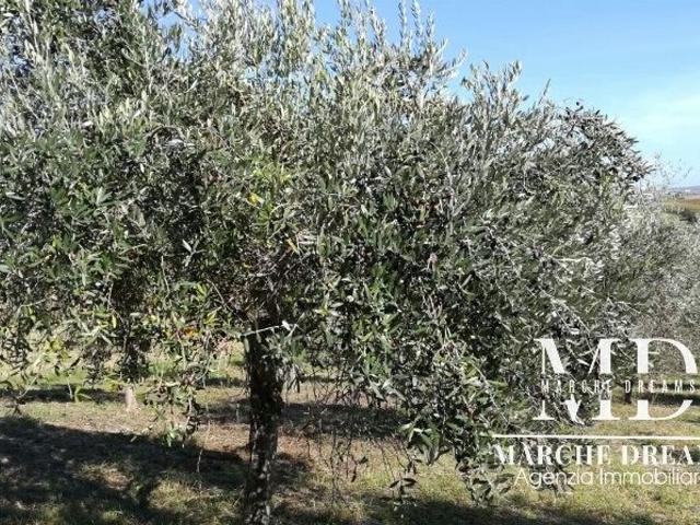 Rustico in vendita a Coste, Staffolo