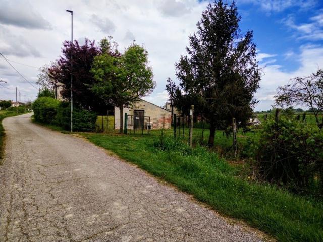 Rustico in vendita a Stienta, Veneto