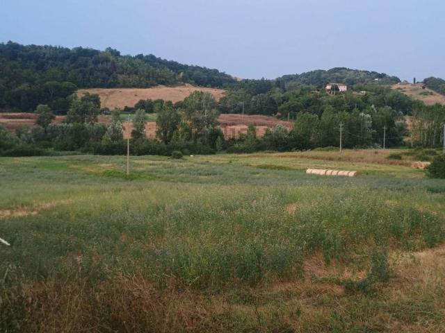 Rustico in vendita a Libbiano, Peccioli