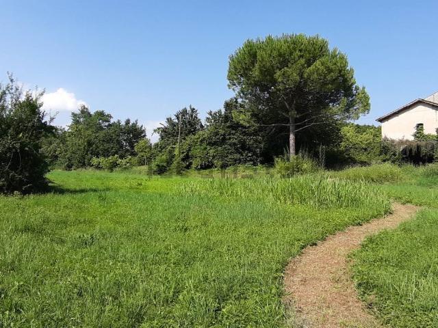 Rustico in vendita a San Michele, Casale Sul Sile