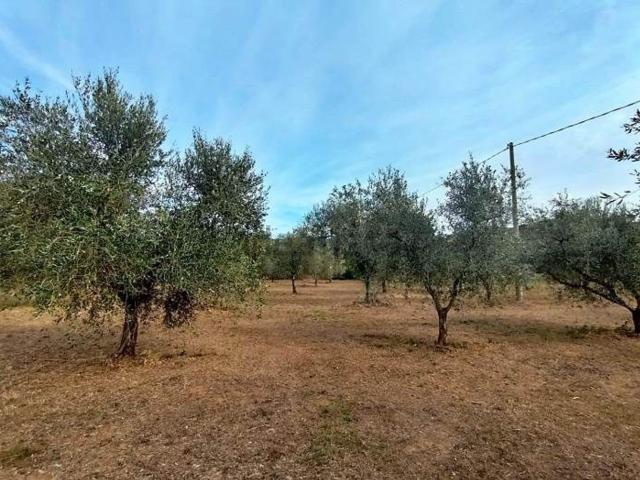 Rustico in vendita a Donoratico, Castagneto Carducci