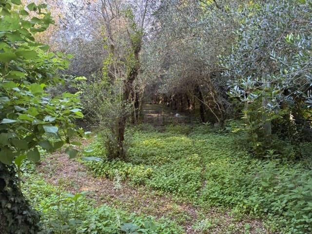 Rustico in vendita a Guerrazzi, San Giovannialla Vena