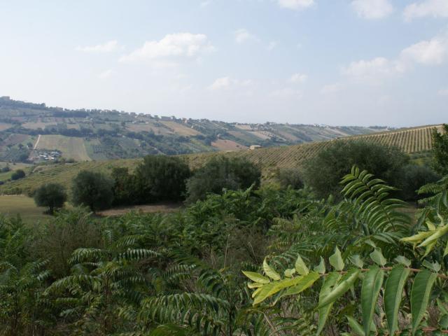 Rustico in vendita a Marche, Ascoli Piceno