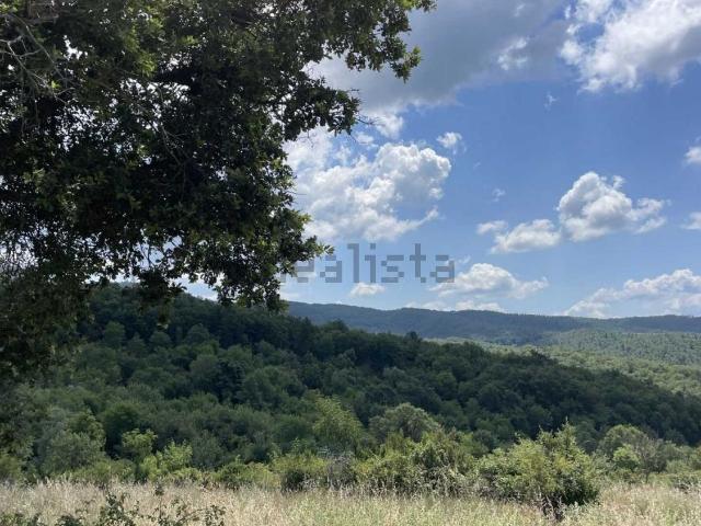 Rustico in vendita a San Venanzo, Umbria
