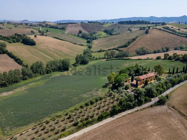 Rustico in vendita a Orciano Pisano, Toscana