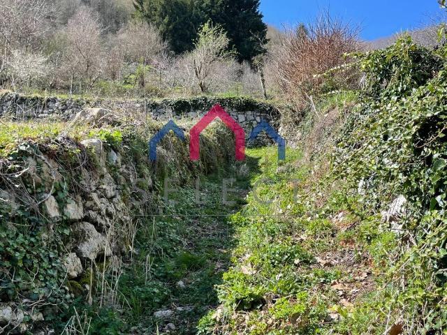 Rustico in vendita a Unione Comuni Garfagnana, Vallico Di Sotto