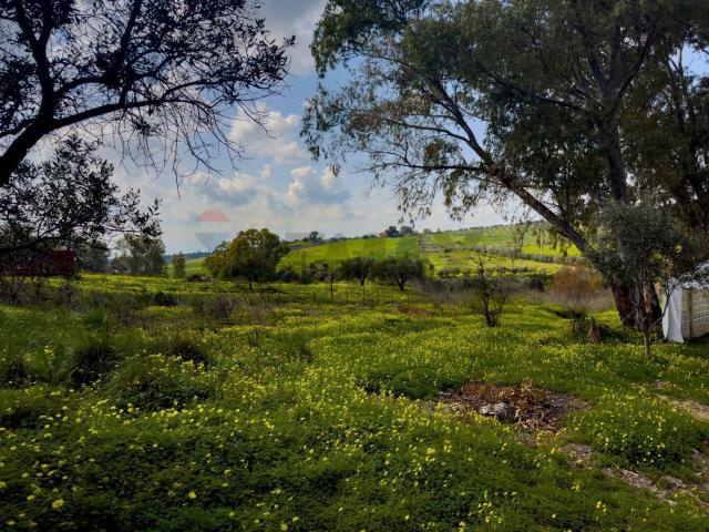 Rustico in vendita a Motta Sant'anastasia, Sicilia