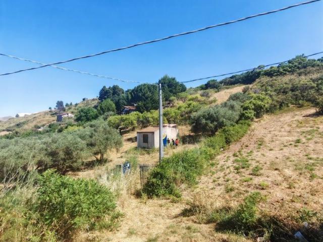 Rustico in vendita a Ciminna, Sicilia