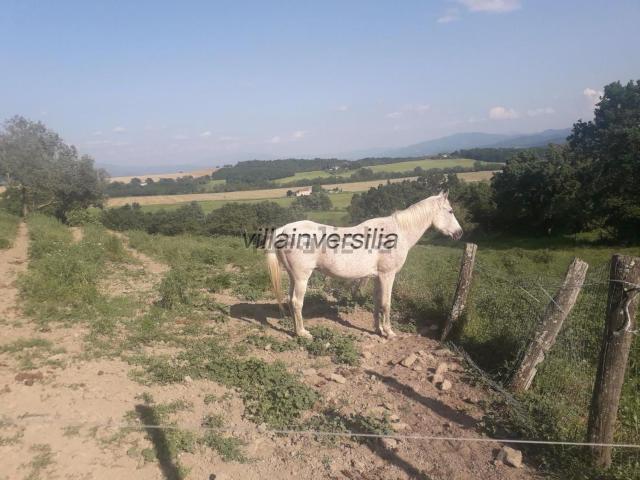 Rustico in vendita a Barberino Di Mugello, Toscana
