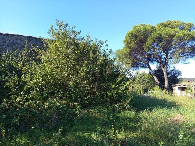 Rustico in vendita a Quarto del Carnale, Roma Capitale