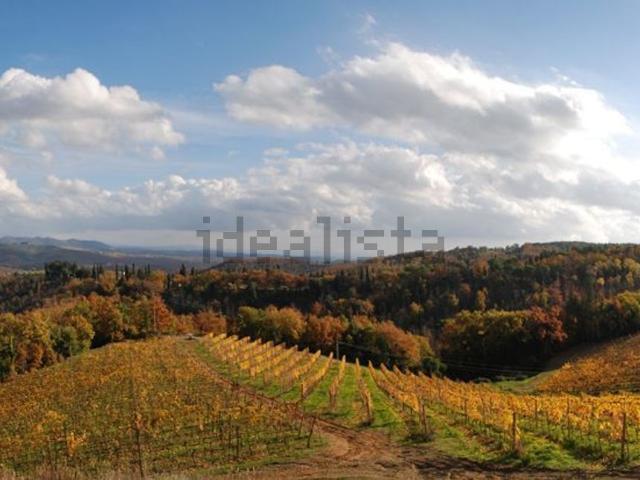 Rustico in vendita a Radda In Chianti, Toscana