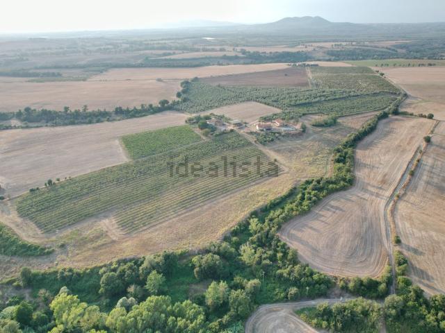 Rustico in vendita a Tuscania, Lazio