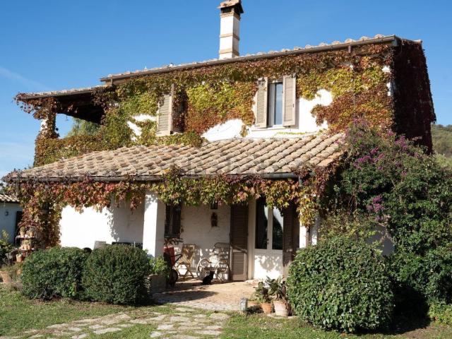 Rustico in vendita a Capalbio, Toscana
