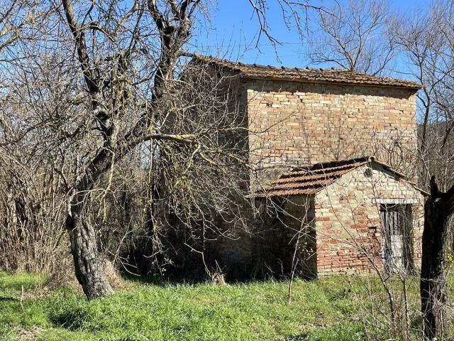 Rustico in vendita a Cappuccini, Ficulle