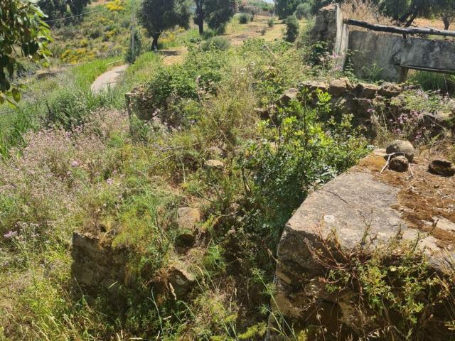 Rustico in vendita a Lascari, Sicilia