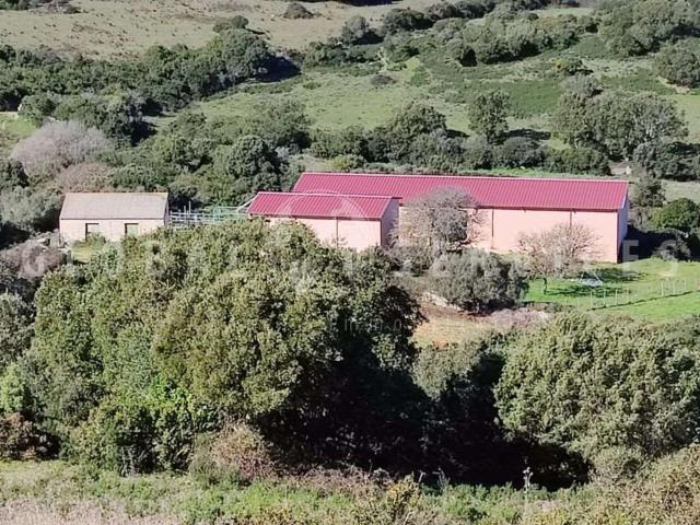 Rustico in vendita a Sant'antonio Di Gallura, Sardigna/Sardegna