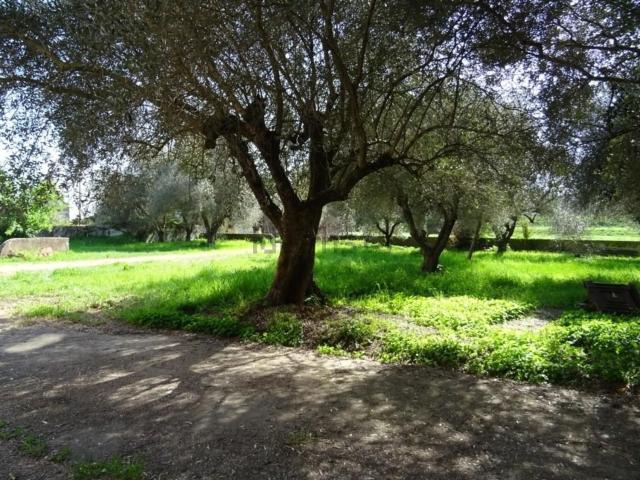 Rustico in vendita a Gello, San Giuliano Terme