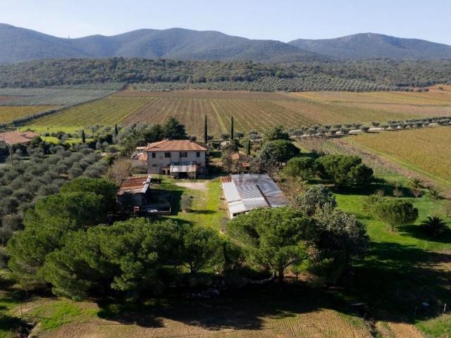 Rustico in vendita a Monte Argentario, Toscana