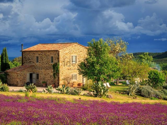 Rustico in vendita a Manciano, Grosseto