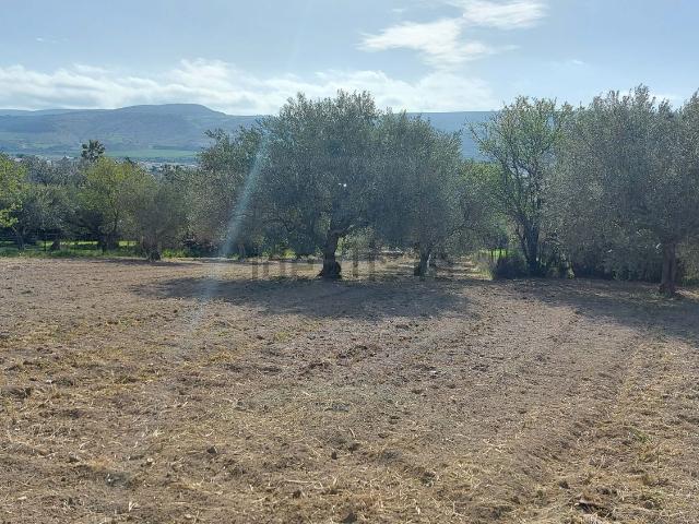 Rustico in vendita a Comiso, Sicilia