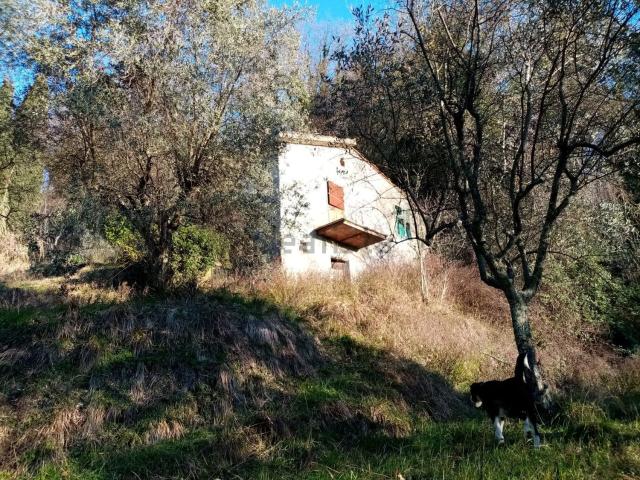 Rustico in vendita a Falcinello, Sarzana