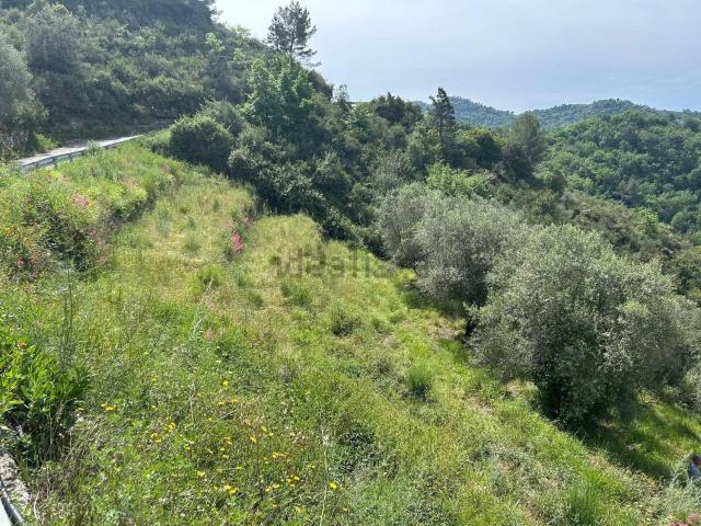 Rustico in vendita a Verrandi, Ventimiglia