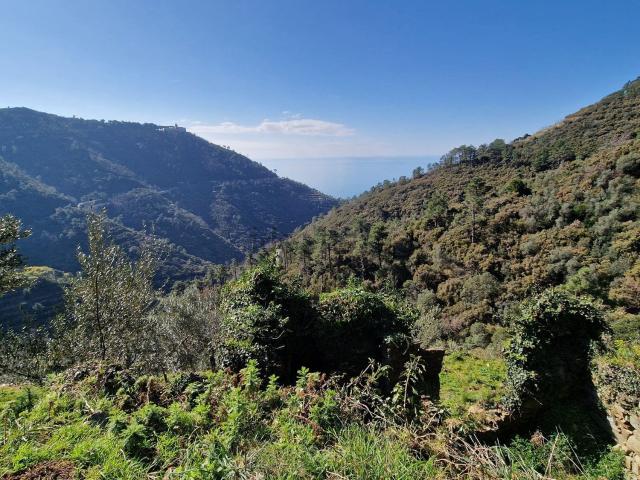 Rustico in vendita a Riomaggiore, Liguria
